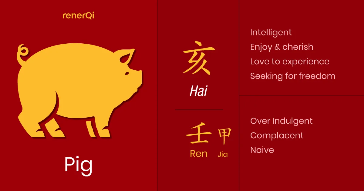 1899 Chinese Zodiac: Pig Year - Characteristics and Compatibility Guide! 1 1899 Chinese Zodiac: Pig Year - Characteristics and Compatibility Guide!
