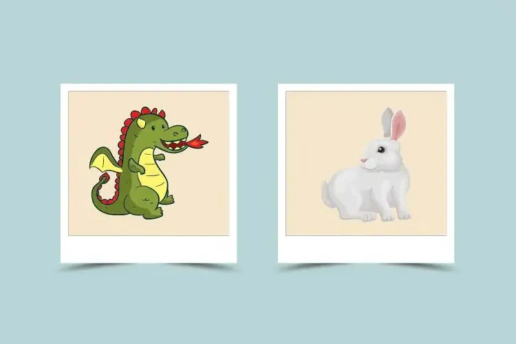 Chinese Zodiac Dragon and Rabbit Pairings (Friendship, Love, and More) 1 Chinese Zodiac Dragon and Rabbit Pairings (Friendship, Love, and More)