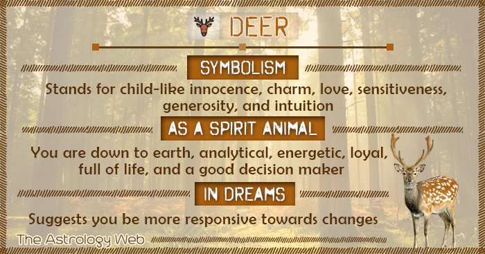 Deer in Dream Meaning: What Are the Spiritual Meanings? 2 Deer in Dream Meaning: What Are the Spiritual Meanings?