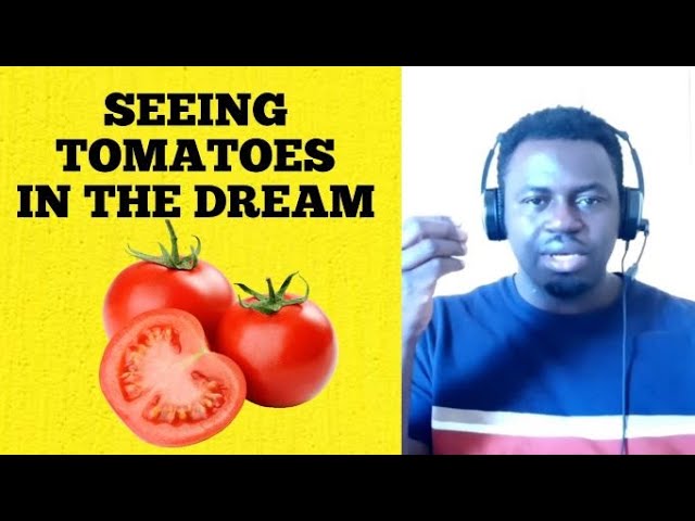 What Tomatoes Mean in Dreams: Find Out the Dream Meaning of Tomatoes Now 2 What Tomatoes Mean in Dreams: Find Out the Dream Meaning of Tomatoes Now