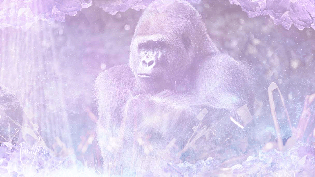 Dreaming of a Gorilla? Find Out the Gorilla in Dream Meaning and What It Means for You! 2 Dreaming of a Gorilla? Find Out the Gorilla in Dream Meaning and What It Means for You!