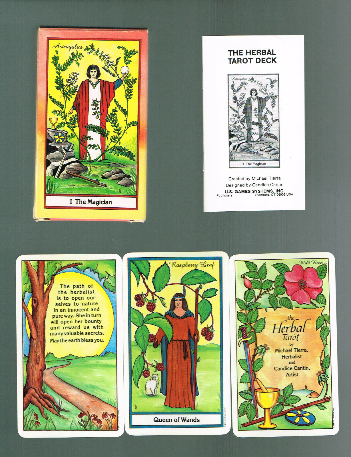 The Herbal Tarot Meanings: A Quick Reference Guide for all Cards in the Herbal Tarot. 2 The Herbal Tarot Meanings: A Quick Reference Guide for all Cards in the Herbal Tarot.