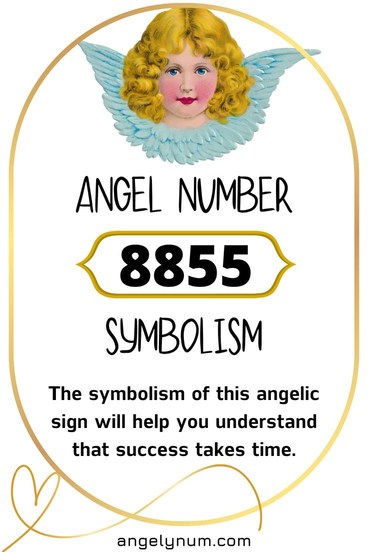 8855 angel number twin flame 2 8855 angel number twin flame