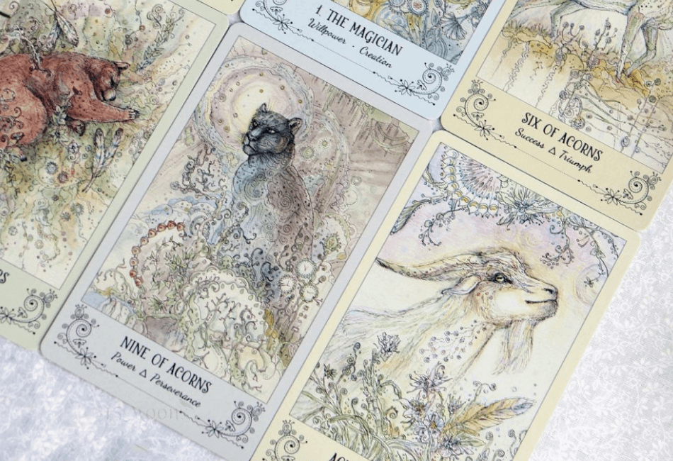 Spiritsong Tarot Review: Is It Right for You? Learn What Makes This Deck Special 1 Spiritsong Tarot Review: Is It Right for You? Learn What Makes This Deck Special