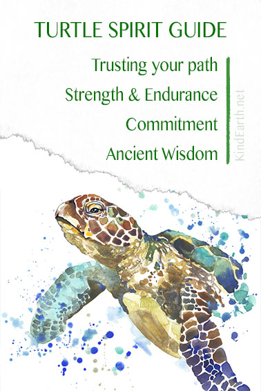 Finding a Turtle Meaning: What It Symbolizes and How to Interpret This Powerful Sign from the Universe Today 2 Finding a Turtle Meaning: What It Symbolizes and How to Interpret This Powerful Sign from the Universe Today