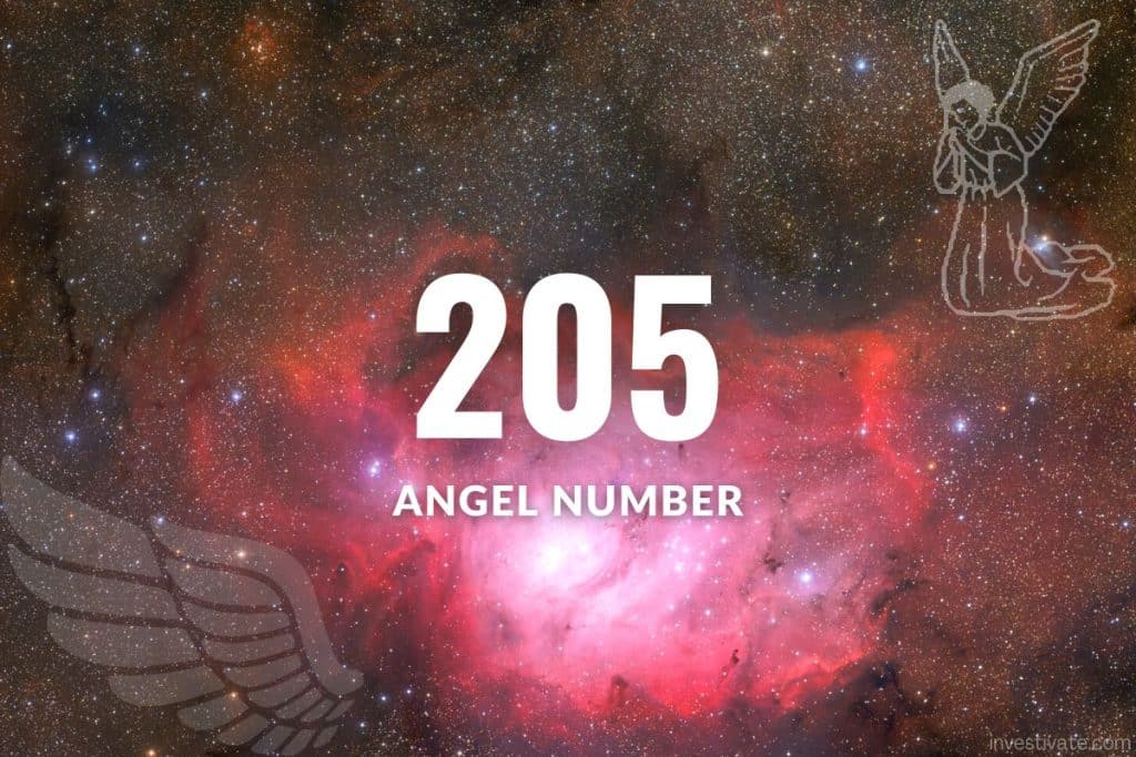 205 angel number twin flame 2 205 angel number twin flame