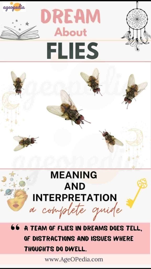 Dream Meaning Flies: What Does It Mean When You Dream About Flies? 3 Dream Meaning Flies: What Does It Mean When You Dream About Flies?