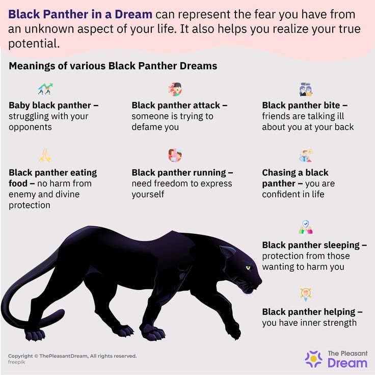 Dream meaning of black panther Common interpretations and what your dream might be saying to you 1 Dream meaning of black panther Common interpretations and what your dream might be saying to you