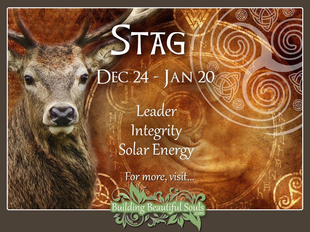 Whats the deer zodiac sign mean? Your full guide! 2 Whats the deer zodiac sign mean? Your full guide!
