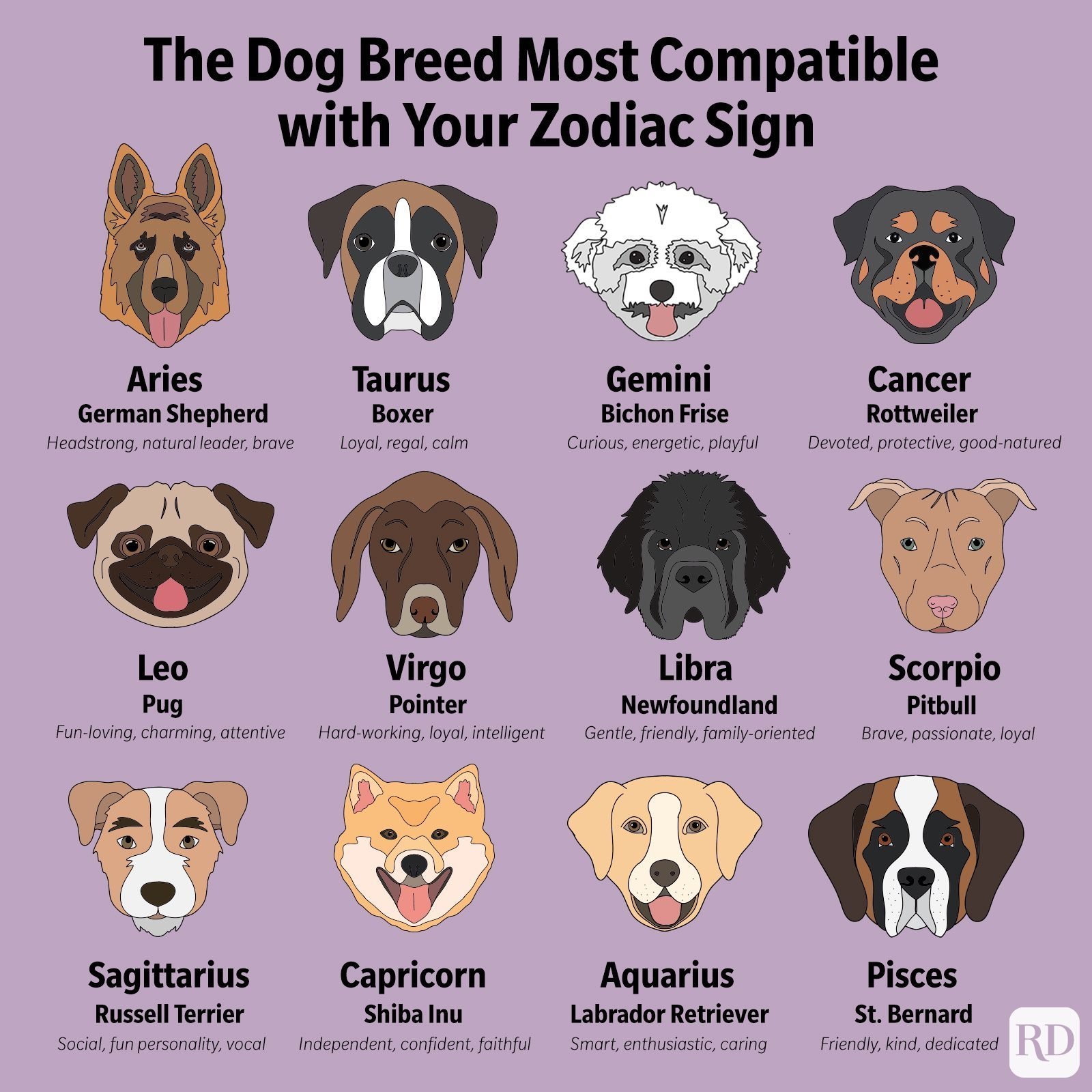 What Does Your Pitbull Zodiac Sign Say About Them? 1 What Does Your Pitbull Zodiac Sign Say About Them?