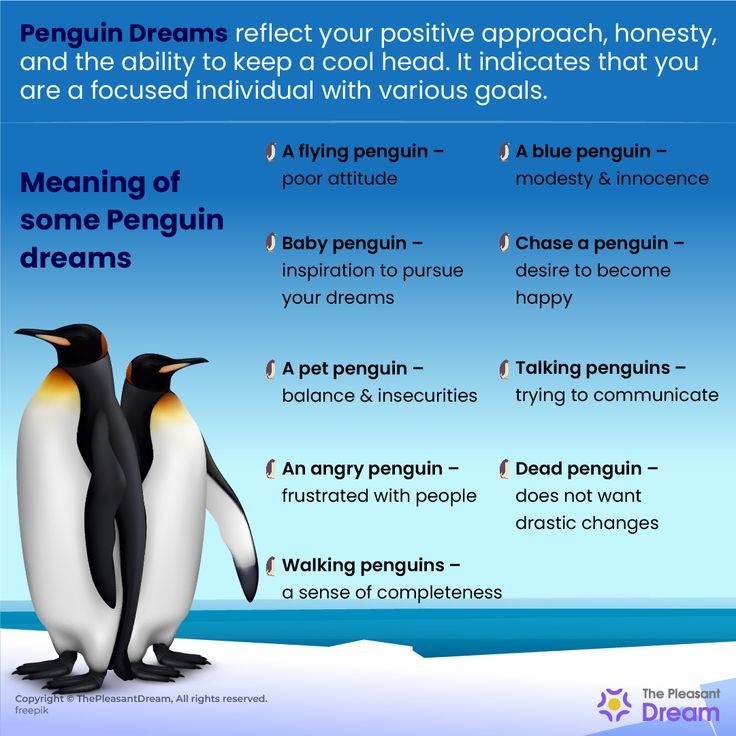 Dream Meaning Penguin: What to Do After You Dream About a Penguin. 1 Dream Meaning Penguin: What to Do After You Dream About a Penguin.