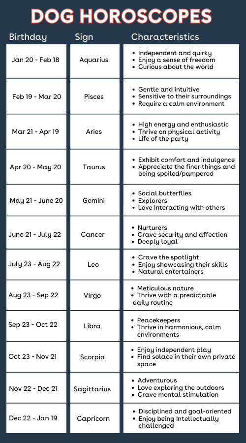 What Does Your Pitbull Zodiac Sign Say About Them? 3 What Does Your Pitbull Zodiac Sign Say About Them?