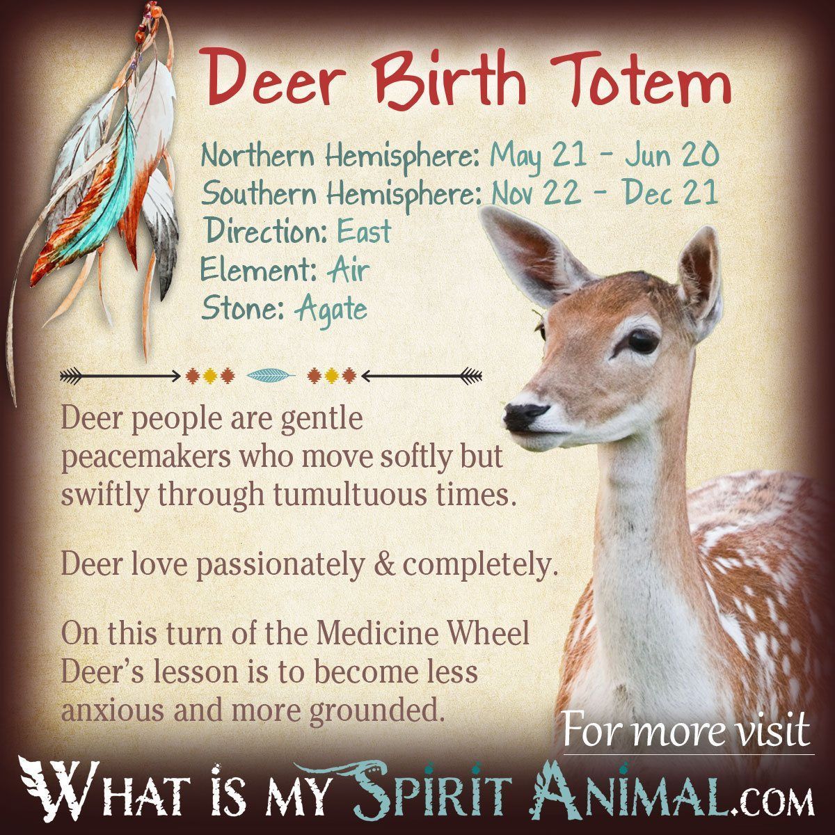 Whats the deer zodiac sign mean? Your full guide! 1 Whats the deer zodiac sign mean? Your full guide!