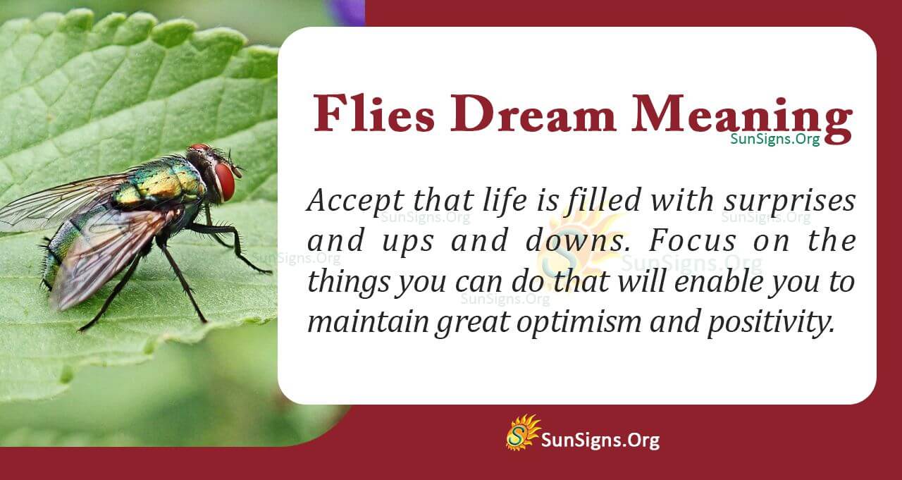 Dream Meaning Flies: What Does It Mean When You Dream About Flies? 1 Dream Meaning Flies: What Does It Mean When You Dream About Flies?