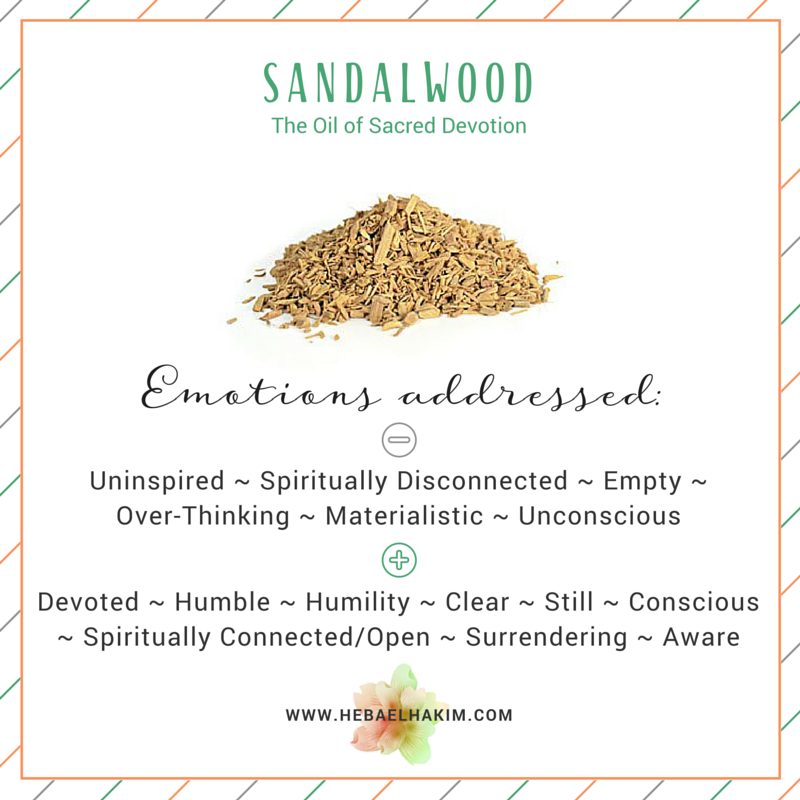 The Spiritual Meaning of Sandalwood: Unlock Its Calming Power Now! 2 The Spiritual Meaning of Sandalwood: Unlock Its Calming Power Now!