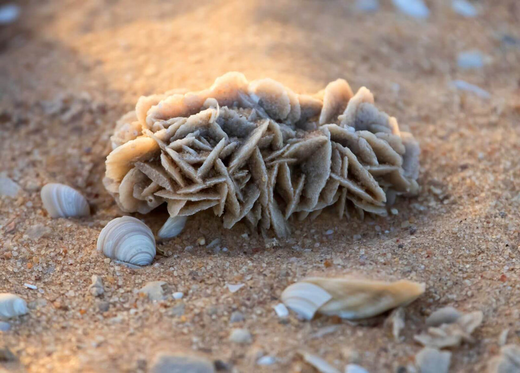Unlock the desert rose stone meaning: A quick and clear introduction for beginners 2 Unlock the desert rose stone meaning: A quick and clear introduction for beginners