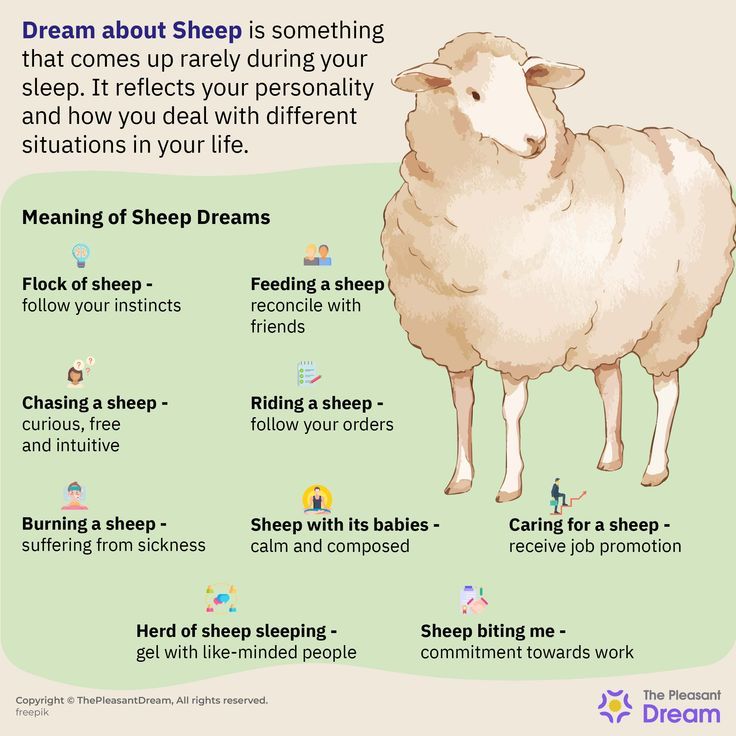Dream Meaning of Sheep: Find Out What Your Dream Really Means Right Now! 2 Dream Meaning of Sheep: Find Out What Your Dream Really Means Right Now!
