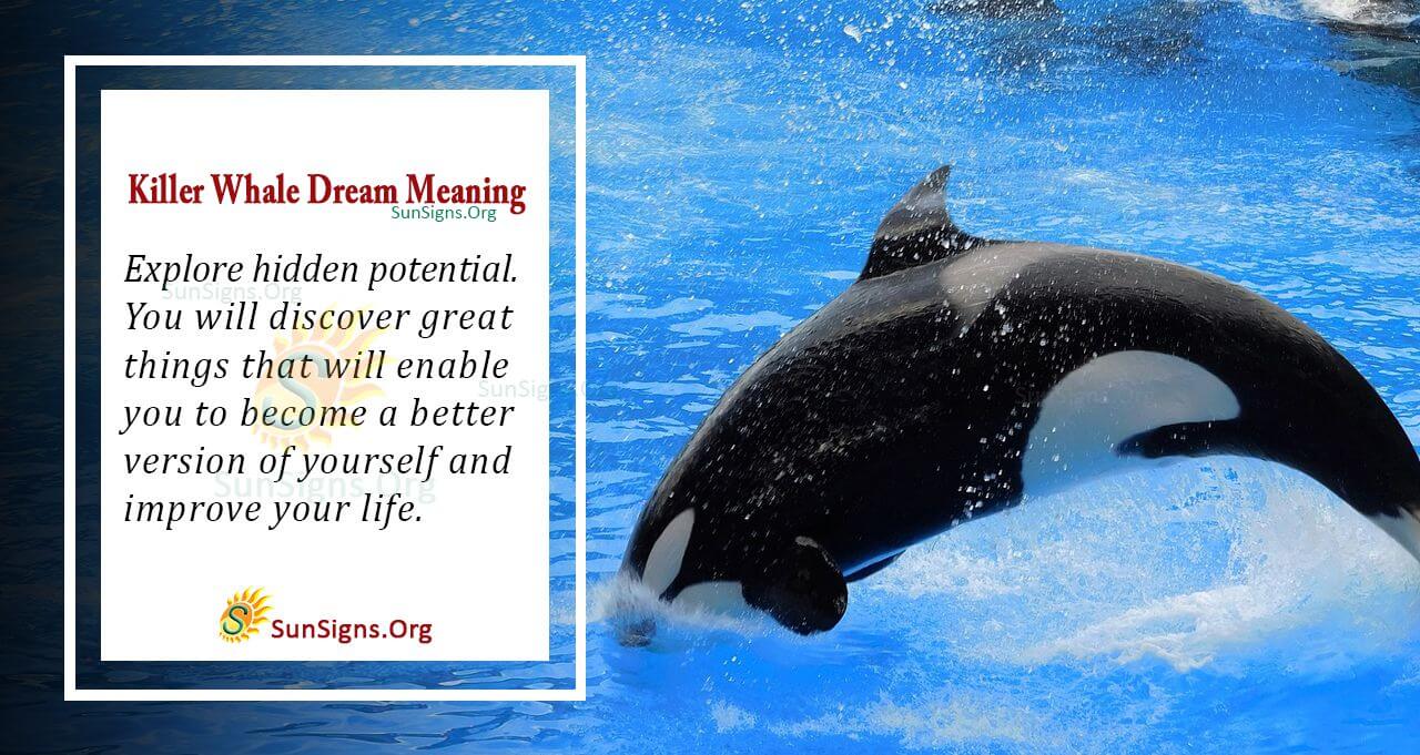Dream Meaning Killer Whale: What Does Seeing an Orca in Your Dream Mean? 1 Dream Meaning Killer Whale: What Does Seeing an Orca in Your Dream Mean?