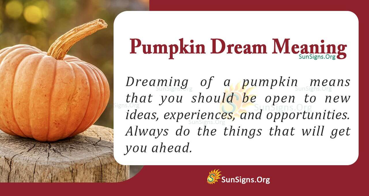 Pumpkin Dream Meaning: What Does It Really Say About You? 2 Pumpkin Dream Meaning: What Does It Really Say About You?