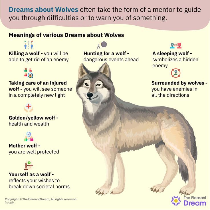 Wolves in Dream Meaning: How to Interpret Them? 1 Wolves in Dream Meaning: How to Interpret Them?