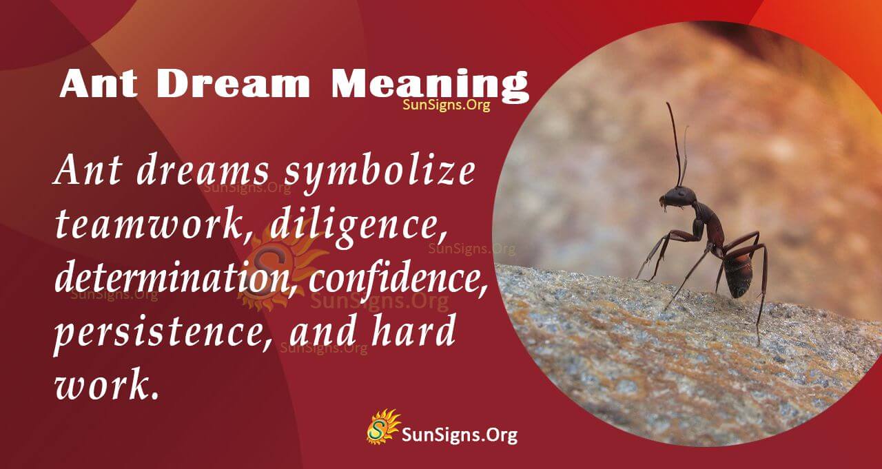 Seeing Ants in Dream Meaning: Easy Interpretation and What to Do Next 2 Seeing Ants in Dream Meaning: Easy Interpretation and What to Do Next