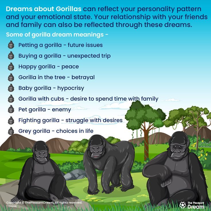 Dreaming of a Gorilla? Find Out the Gorilla in Dream Meaning and What It Means for You! 1 Dreaming of a Gorilla? Find Out the Gorilla in Dream Meaning and What It Means for You!