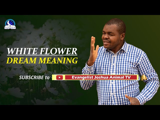 Dreaming of White Flowers What Does It Mean for You? 1 Dreaming of White Flowers What Does It Mean for You?