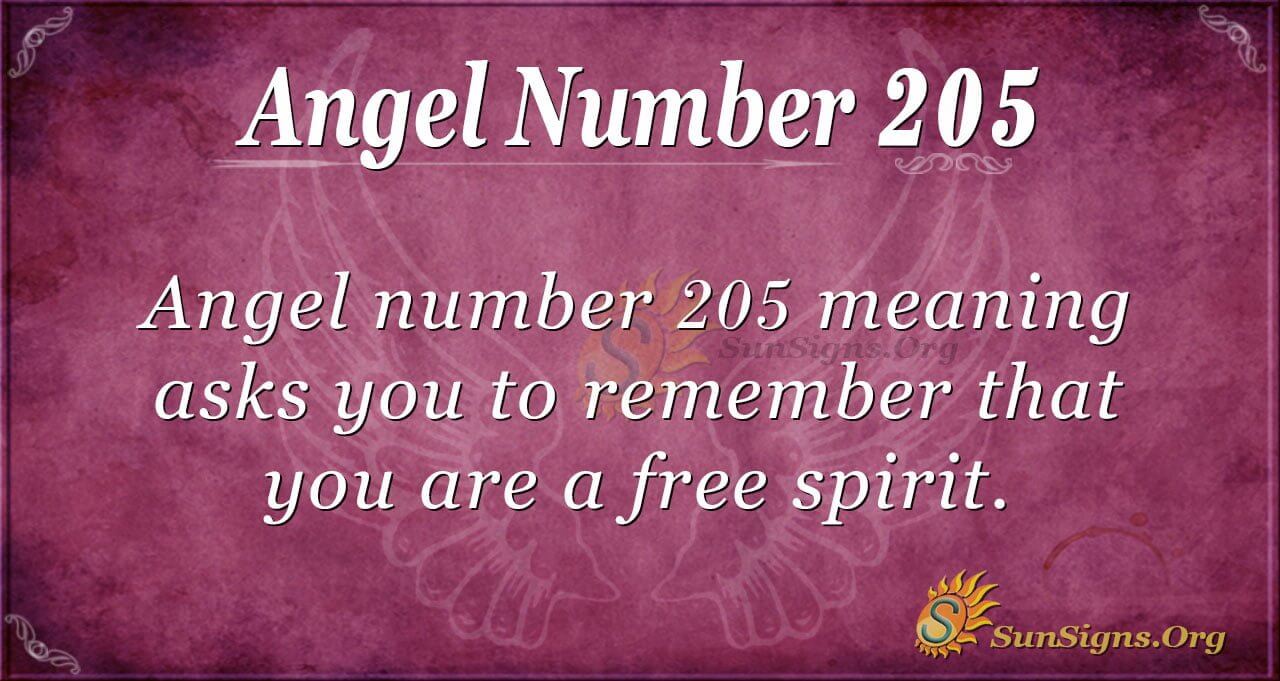 205 angel number meaning 1 205 angel number meaning