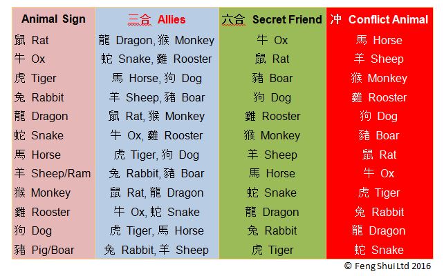 Dog and Rat Chinese Zodiac: Can They Get Along? Here is the Truth About Their Bond! 2 Dog and Rat Chinese Zodiac: Can They Get Along? Here is the Truth About Their Bond!