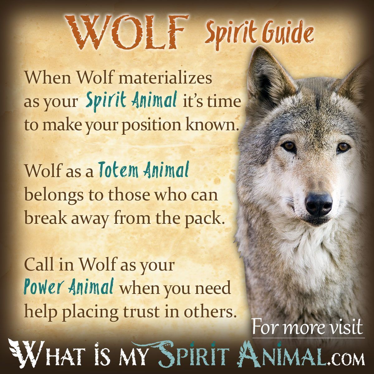 Unlock Your Dreams: Exploring Native American Wolf Dream Meaning. 3 Unlock Your Dreams: Exploring Native American Wolf Dream Meaning.
