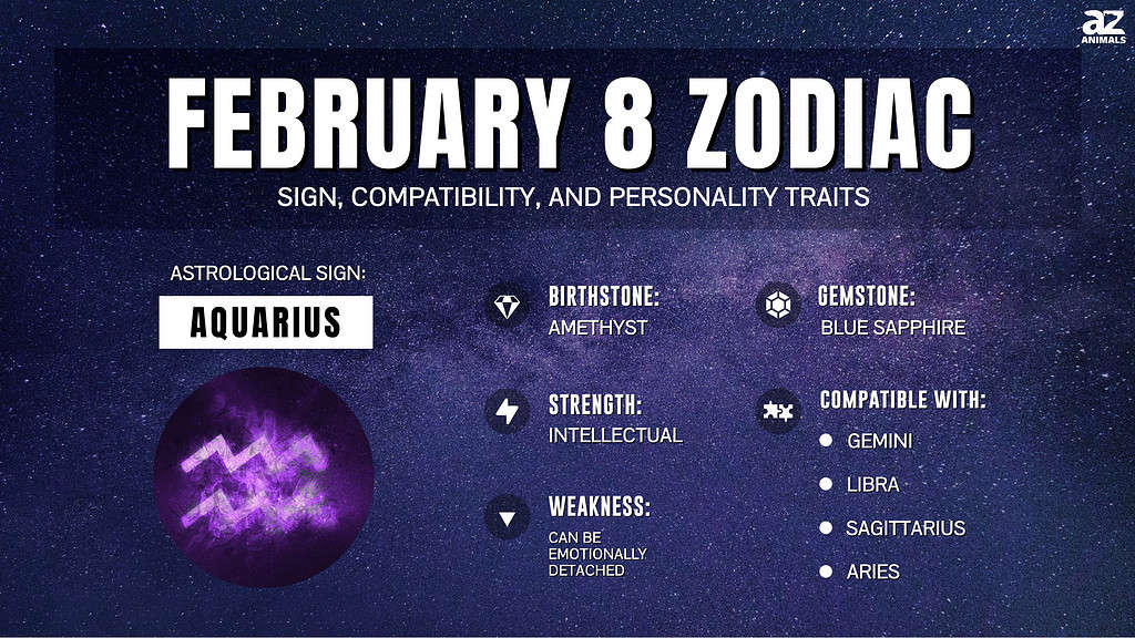 What Zodiac is February 8? Check Your Star Sign Compatibility! 1 What Zodiac is February 8? Check Your Star Sign Compatibility!