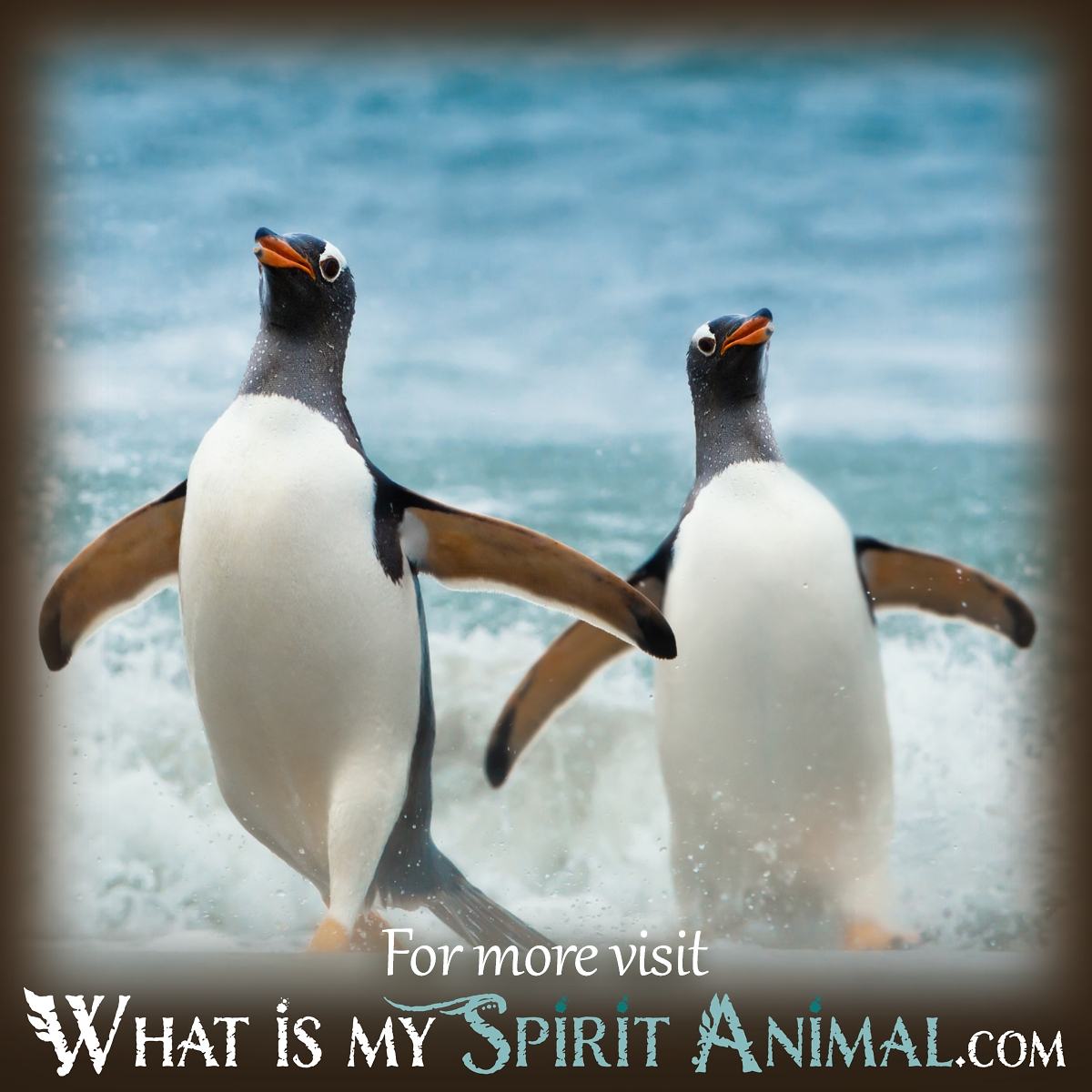 Dream Meaning Penguin: What to Do After You Dream About a Penguin. 2 Dream Meaning Penguin: What to Do After You Dream About a Penguin.